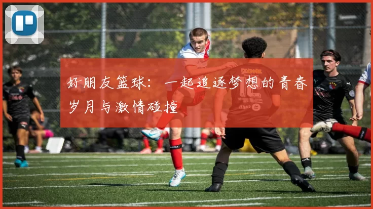 好朋友篮球：一起追逐梦想的青春岁月与激情碰撞