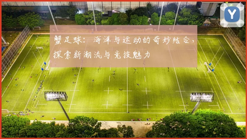 蟹足球：海洋与运动的奇妙结合，探索新潮流与竞技魅力