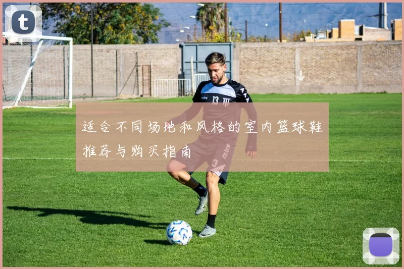 适合不同场地和风格的室内篮球鞋推荐与购买指南