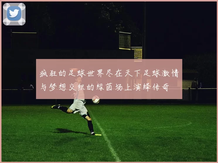 疯狂的足球世界尽在天下足球激情与梦想交织的绿茵场上演绎传奇